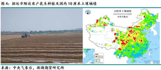 新湖农产（油脂）专题：山东花生产区调研报告  第6张