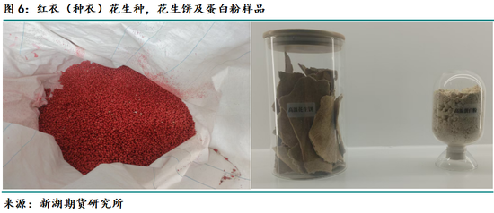 新湖农产（油脂）专题：山东花生产区调研报告  第8张