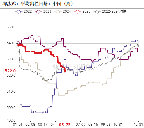 鸡蛋：何处才是底，何时见曙光？  第13张