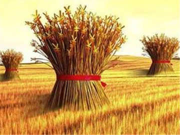 如何认识农村四水的含义?农村四水与财经有什么关联?  第1张 如何认识农村四水的含义?农村四水与财经有什么关联?  第1张