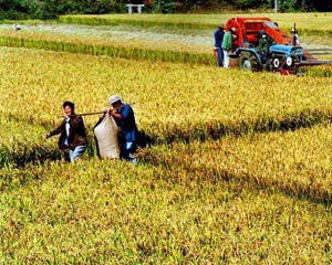 如何认识农村四水的含义?农村四水与财经有什么关联?  第2张 如何认识农村四水的含义?农村四水与财经有什么关联?  第2张