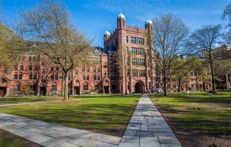 耶鲁折价抛售25亿美元私募股权套现 捐赠者陷入恐慌  第1张 耶鲁折价抛售25亿美元私募股权套现 捐赠者陷入恐慌  第1张