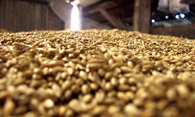 如何理解豆粕期权交易指令?交易指令对豆粕期权交易有何作用?  第1张 如何理解豆粕期权交易指令?交易指令对豆粕期权交易有何作用?  第1张