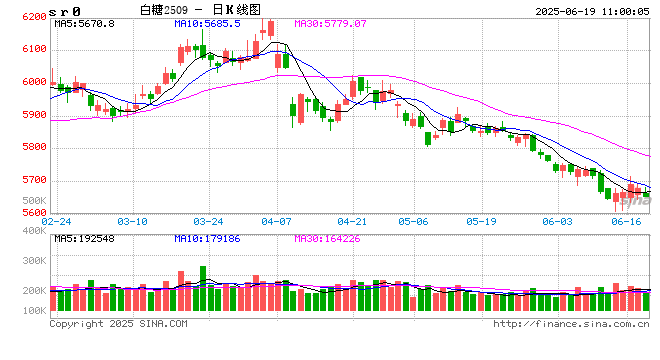 光大期货：6月19日软商品日报  第2张