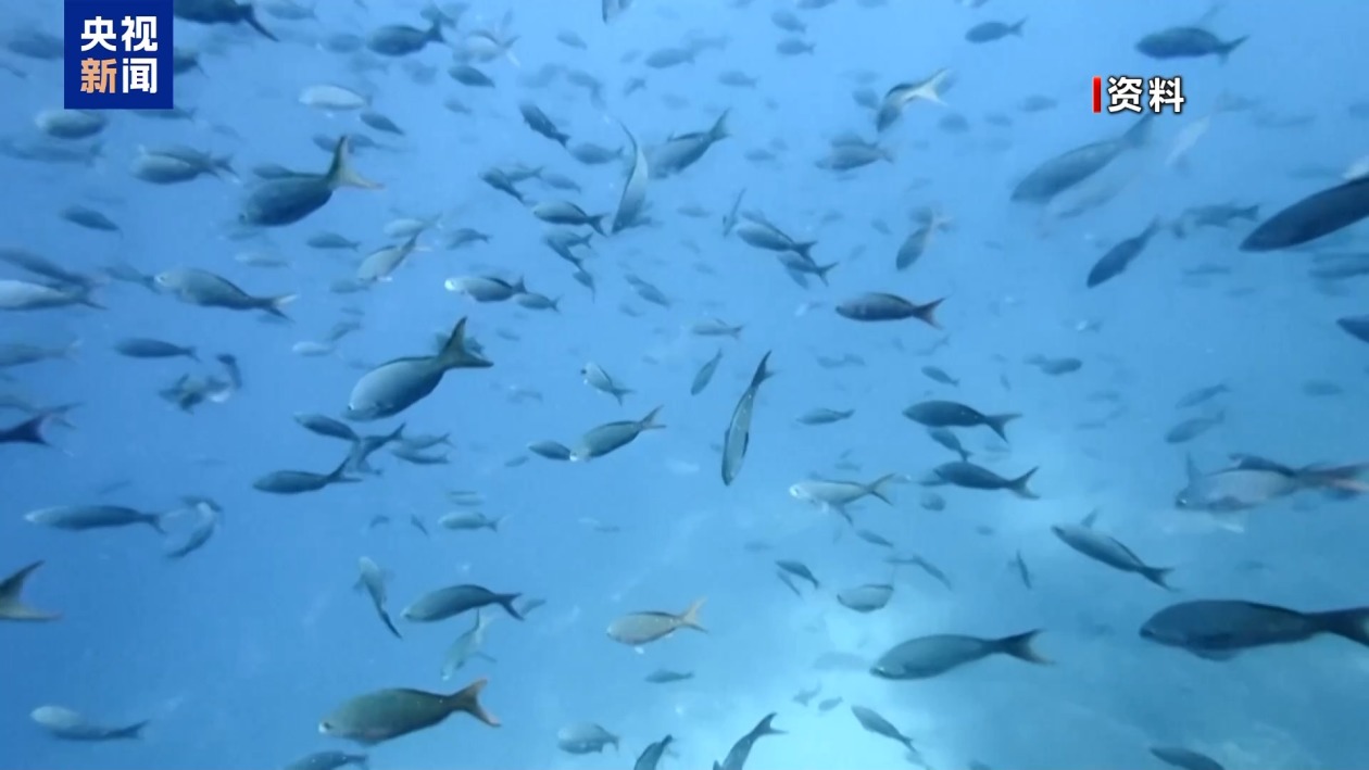 以军瞄准伊朗布什尔核电站？俄警告或酿切尔诺贝利级核灾难  第8张