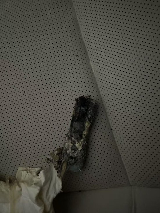 车主称理想MEGA“自燃”,最新回应!  第2张 车主称理想MEGA“自燃”,最新回应!  第2张