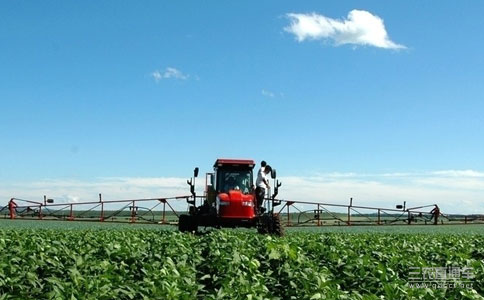 如何养殖特定物品?拉菲养殖有哪些要点和注意事项?  第1张 如何养殖特定物品?拉菲养殖有哪些要点和注意事项?  第1张