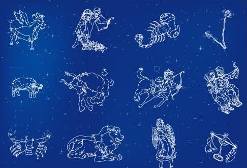 如何准确计算投资比例以优化投资策略？比例计算对投资收益有什么影响？  第1张