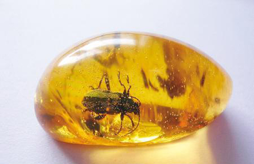 如何正确玩改装车?改装车有哪些注意事项?  第1张 如何正确玩改装车?改装车有哪些注意事项?  第1张