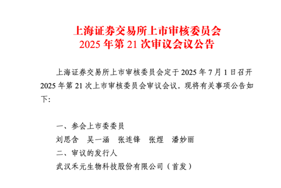 武汉禾元科创板IPO：亏损公司融资再启动！募资从35亿减为24亿！IPO说明书的预期大概率达不到！  第2张
