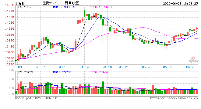 0626热点追踪：猪价上方空间还有多大？  第2张