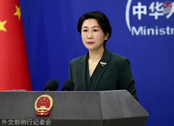 中方在安理会关于西撒哈拉问题表决中投弃权票，外交部回应  第1张