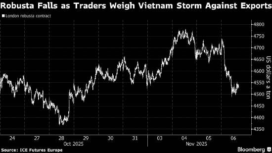 罗布斯塔咖啡价格下跌 交易员权衡台风与越南出口因素影响 第1张 罗布斯塔咖啡价格下跌 交易员权衡台风与越南出口因素影响 第1张