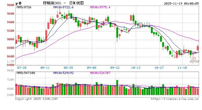 正信期货：棕榈油千点下跌后等待方向指引  第2张