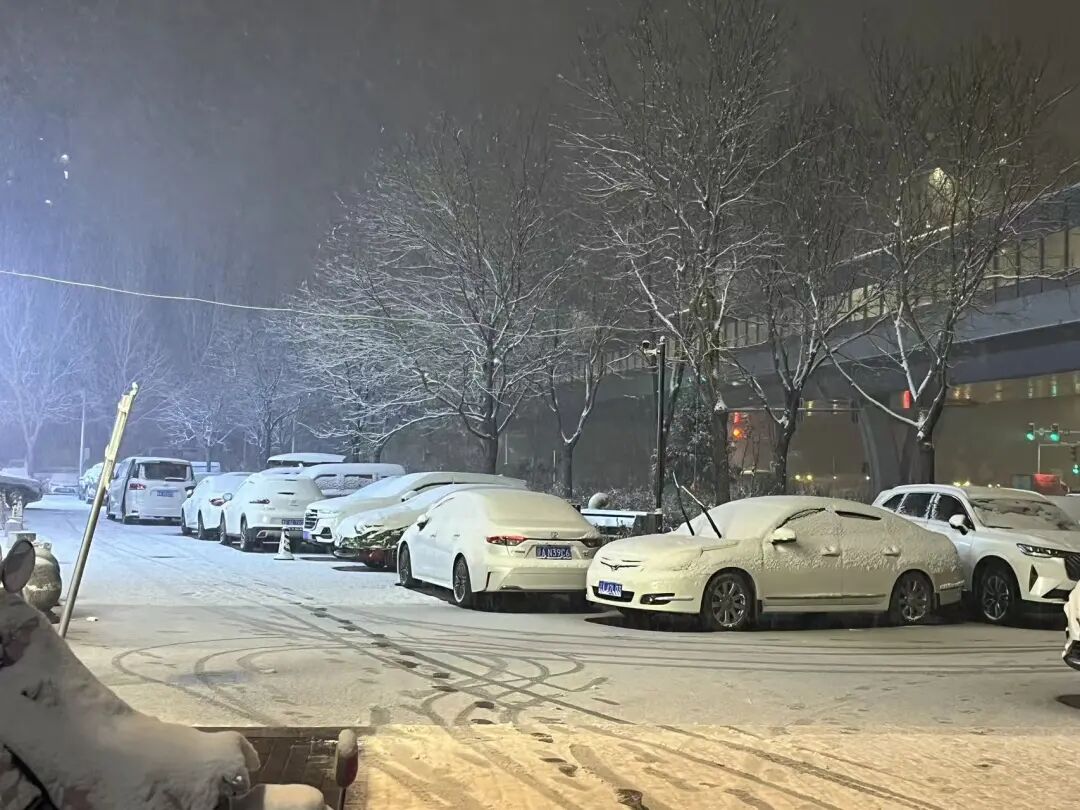 焦煤“王座”崩塌记：一场倒V反转背后的供需博弈  第7张