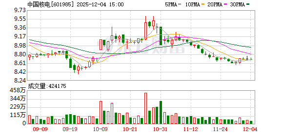 中国核电：公司将坚持核能主业  第1张