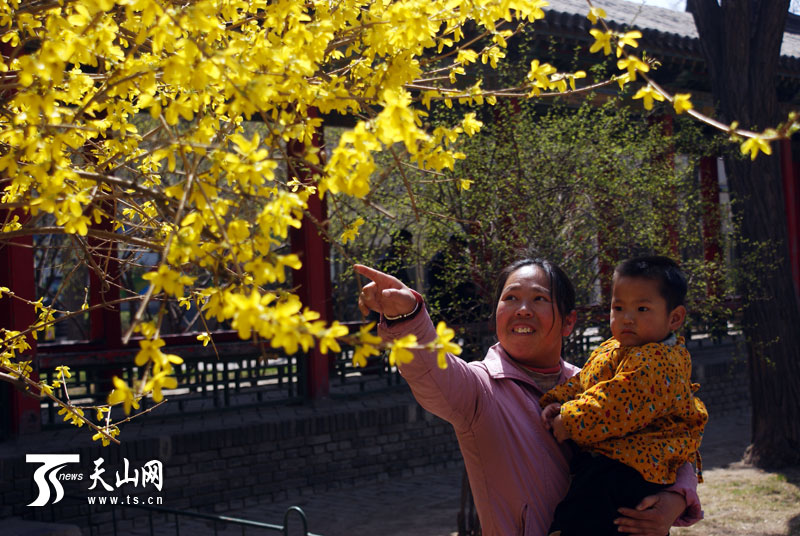 家庭现金流管理有哪些实用方法？  第1张