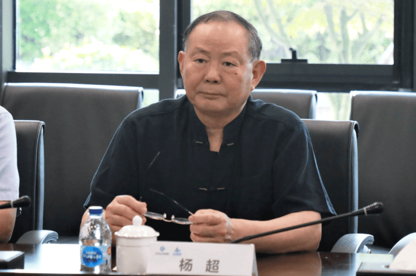 六大问题触目惊心 中国人寿集团原总裁杨超退休14年后被开除党籍  第2张