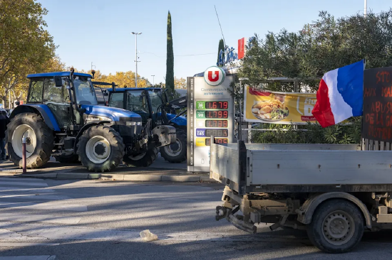 法国拟禁止进口含欧盟禁用农药的食品  第1张