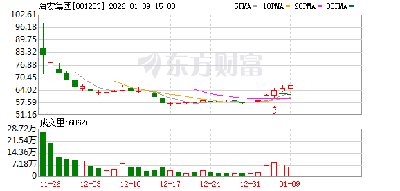 海安集团：公司未来将进一步加大对国际市场的开发  第1张