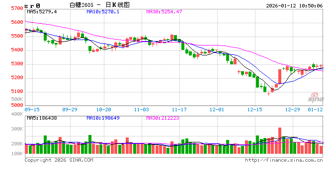 光大期货：1月12日软商品日报  第2张