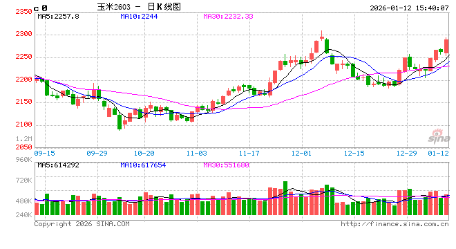 华北玉米：价格盘整、供需拉锯何时休？  第2张