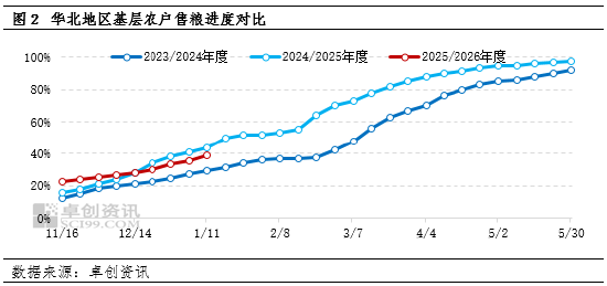 华北玉米：价格盘整、供需拉锯何时休？  第4张