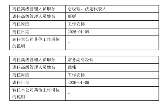 我朋友说，她是最美的公募基金女高管  第4张