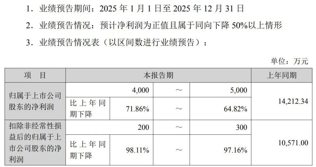 高额关税+“双反”调查，知名车企去年美国市场收入锐减近80%，净利预计降超六成！此前过半营收来自美国！斥巨资跨界投资半导体能救场吗？  第1张