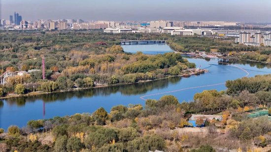 何为正确政绩观？新华社推出重磅通讯  第5张