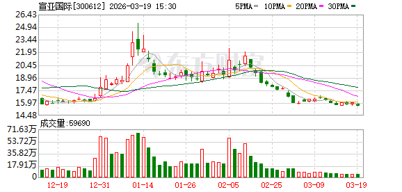 宣亚国际：公司无逾期对外担保  第1张