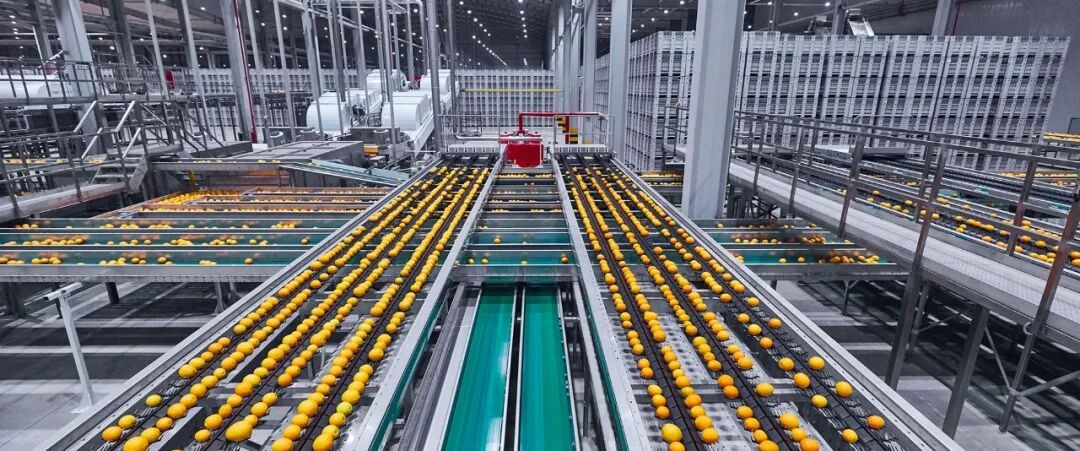 破解存量时代的内卷竞争，农夫山泉给出了正确答案  第5张