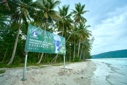 瑞幸生椰拿铁上市五周年，全球销量突破20亿杯  第1张