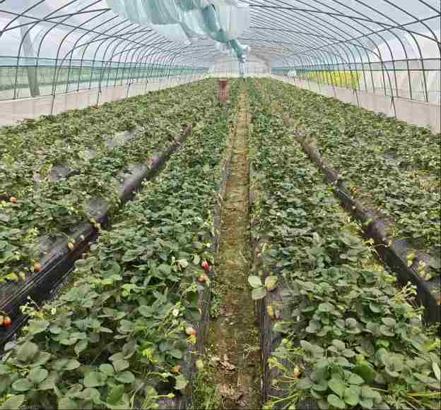 &deg;&Ecirc;&yacute;&plusmn;&Euml;&micro;&deg;&Yacute;&reg;&plusmn;&ordm;&Atilde; &deg;&acute;&ucirc;&plusmn;&para;&macr;&Igrave;&eth;&Iacute;&middot; &ordf;&  第1张