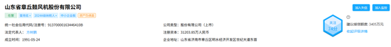 从财务造假到国资入局,山东章鼓的846万元虚减利润案拷问风控红线 第4张 从财务造假到国资入局,山东章鼓的846万元虚减利润案拷问风控红线 第4张