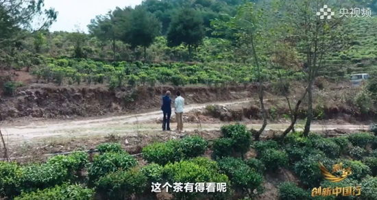 钟墅子给钟睒睒当助理,啥信号? 第6张 钟墅子给钟睒睒当助理,啥信号? 第6张