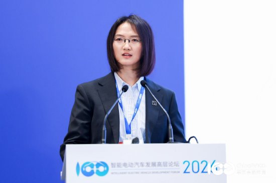 极氪徐云:中国豪华汽车品牌应“靠技术立标准、靠创新赢市场”,而非靠价格换市场 第1张 极氪徐云:中国豪华汽车品牌应“靠技术立标准、靠创新赢市场”,而非靠价格换市场 第1张