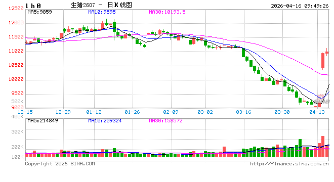 华泰期货：压力有所放缓，生猪行情阶段夯实  第2张