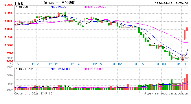 光大期货0416热点追踪：猪价连涨三天，抄底信号还是诱多陷阱？  第2张